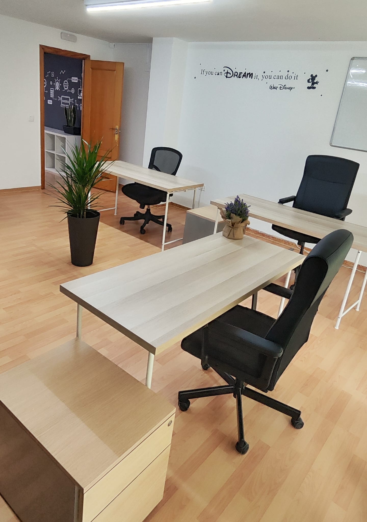 “Espacio de coworking con escritorios individuales y sillas ergonómicas en Tecni Estudio